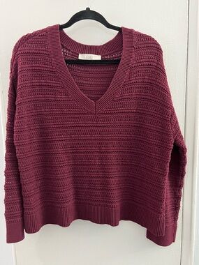 LOFT V-Neck Sweater in Deep Burgundy